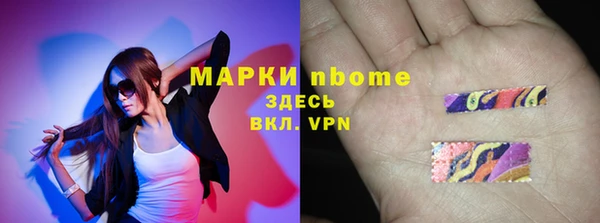 эйфоретик Тайга