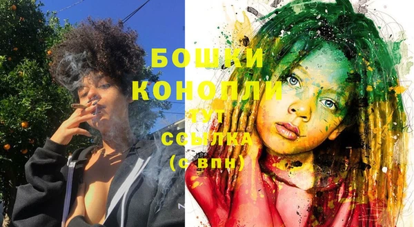 ECSTASY Белокуриха