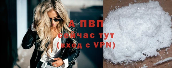 ECSTASY Белокуриха