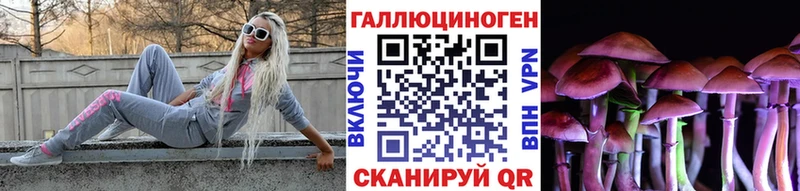 Галлюциногенные грибы Psilocybine cubensis Будённовск