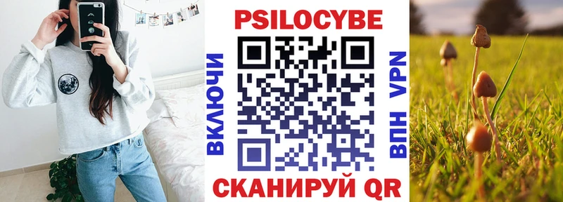 kraken зеркало закладка Будённовск Псилоцибиновые грибы GOLDEN TEACHER